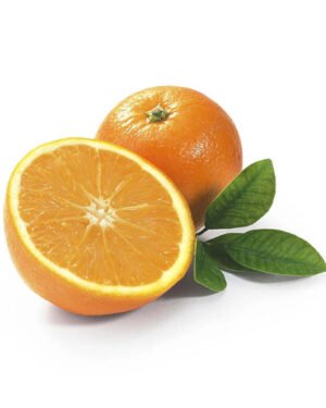 Essentials Vegetable