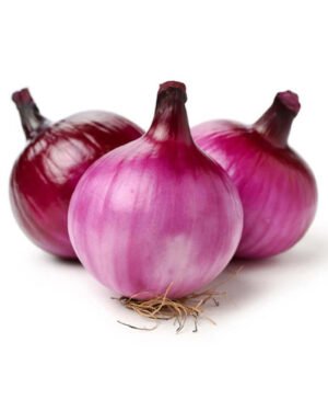 Delicious Onion
